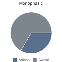 Tek fazlı uyku - Monophasic sleep